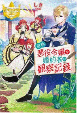 药屋少女 动漫封面